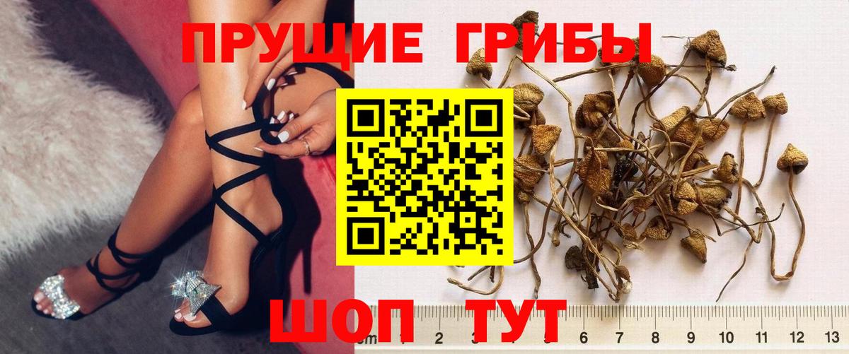 Видное  Псилоцибиновые грибы Psilocybe  Псилоцибиновые грибы мухоморы  Вход с VPN 